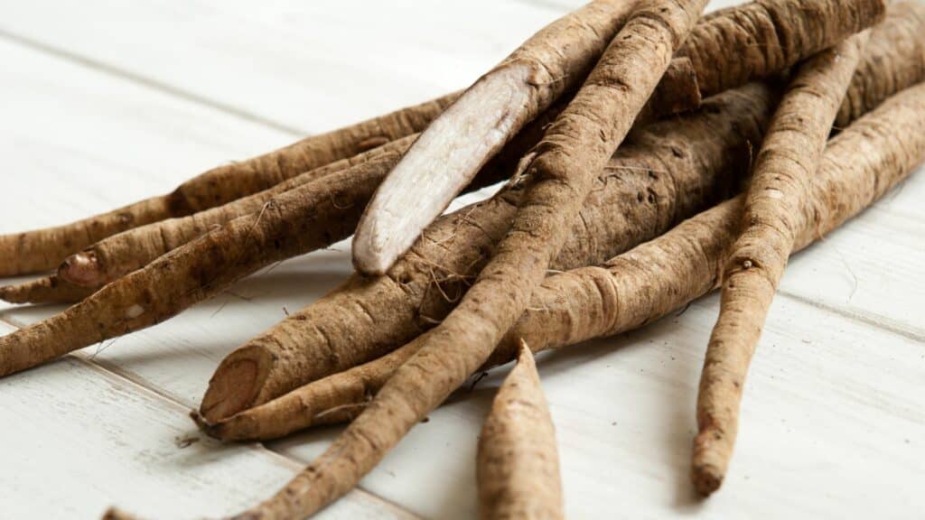 Radice di bardana sulla tavola di legno