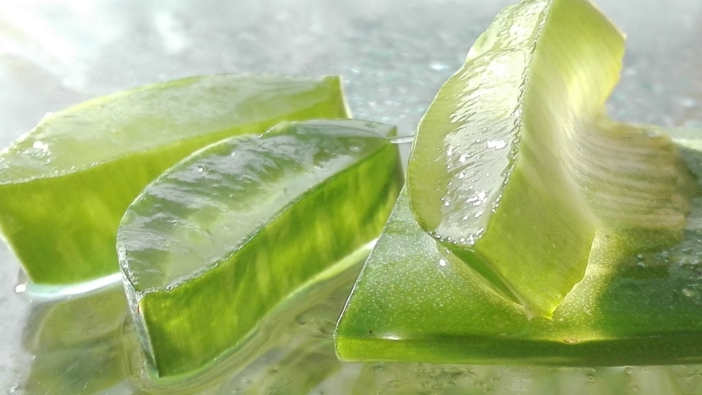 Sections of Aloe Vera